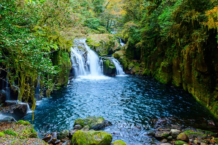 観光地の滝